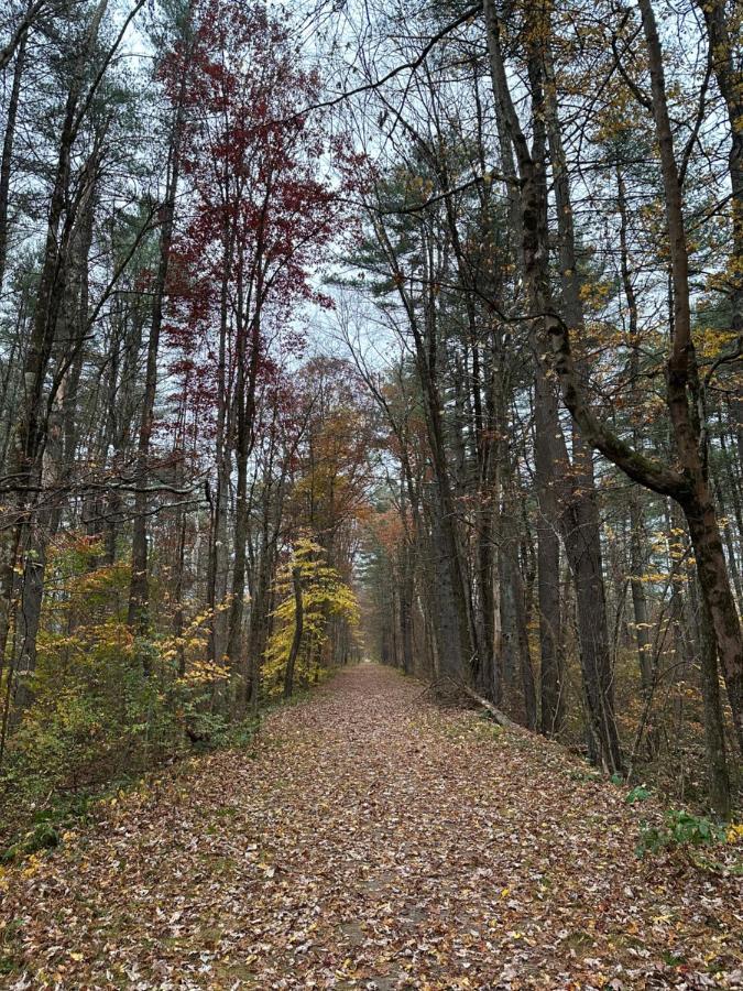 Escape To A Streamside Cabin In The Lower Catskills Wurtsboro Екстериор снимка